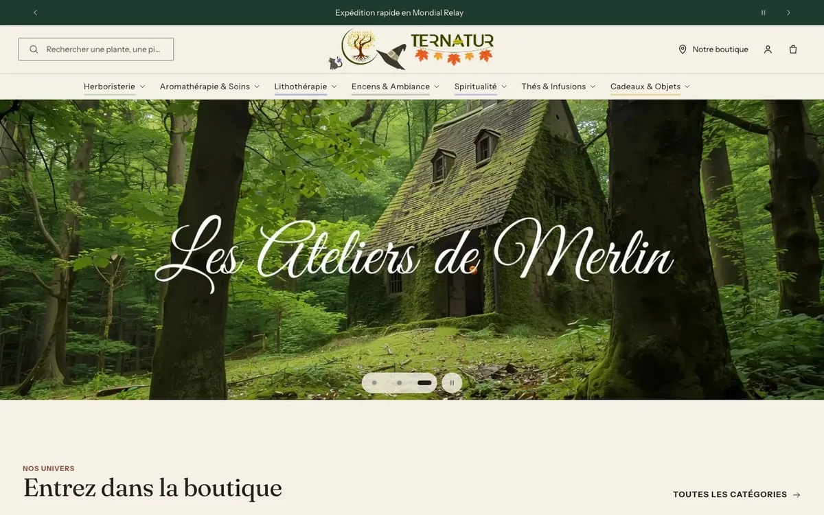 Page d'accueil du site ternatur.myshopify.com sur ordinateur